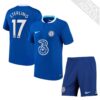 9468 PACK CHELSEA DOMICILE STERLING. ENSEMBLE ADULTE MAILLOT ET SHORT 2022 2023