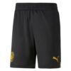 9964 PACK MANCHESTER CITY EXTERIEUR. ENSEMBLE ADULTE MAILLOT ET SHORT 2022 2023
